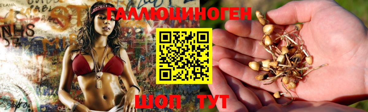 Псилоцибиновые грибы ЛСД Острогожск