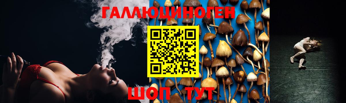 Острогожск  купить   Вход с VPN  Галлюциногенные грибы Psilocybe 